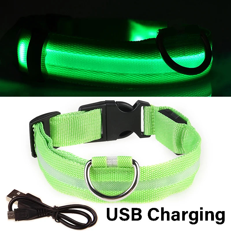 Dog Collar Nylon LED Night Safety Flashing Glow in the Dark Pet Dog Leash Pet Dogs Luminous Fluorescent Collar Dog Accessories