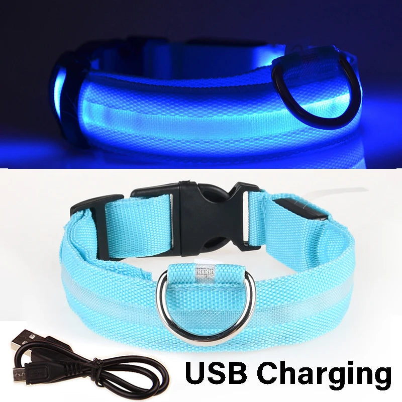 Dog Collar Nylon LED Night Safety Flashing Glow in the Dark Pet Dog Leash Pet Dogs Luminous Fluorescent Collar Dog Accessories