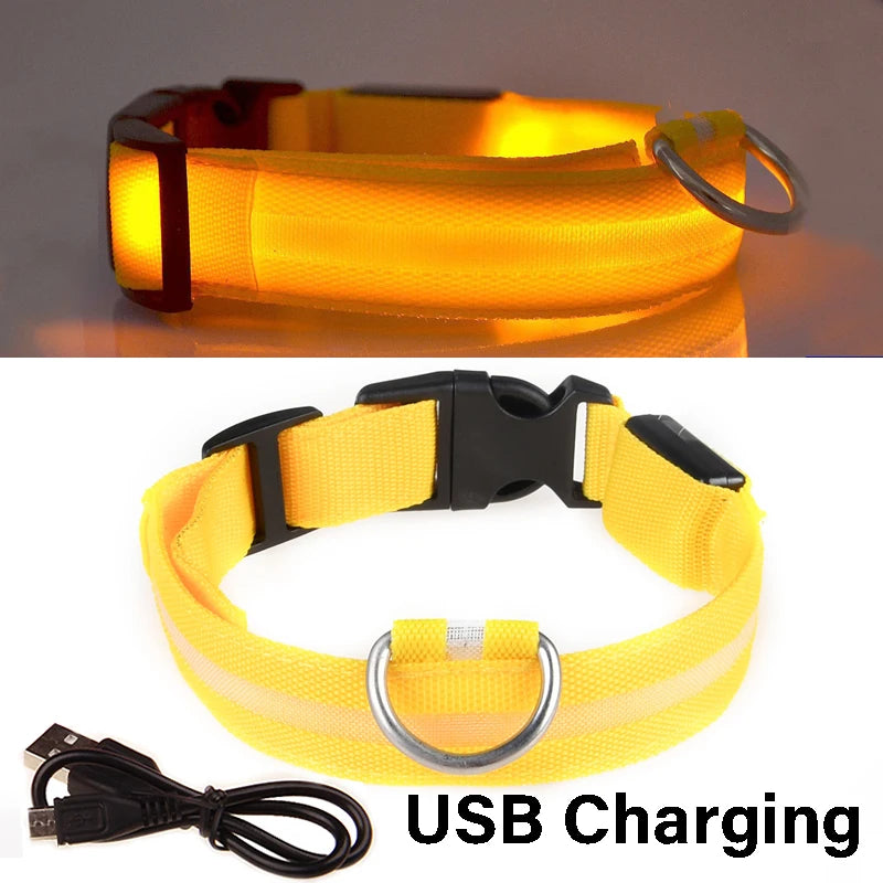 Dog Collar Nylon LED Night Safety Flashing Glow in the Dark Pet Dog Leash Pet Dogs Luminous Fluorescent Collar Dog Accessories