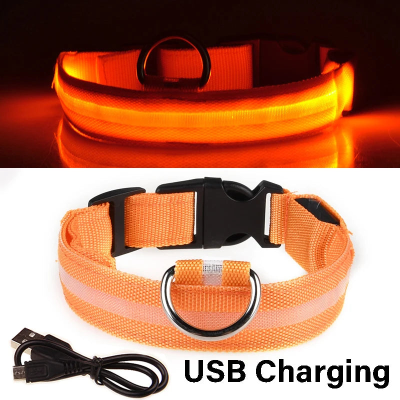 Dog Collar Nylon LED Night Safety Flashing Glow in the Dark Pet Dog Leash Pet Dogs Luminous Fluorescent Collar Dog Accessories