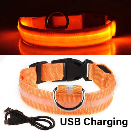 Dog Collar Nylon LED Night Safety Flashing Glow in the Dark Pet Dog Leash Pet Dogs Luminous Fluorescent Collar Dog Accessories