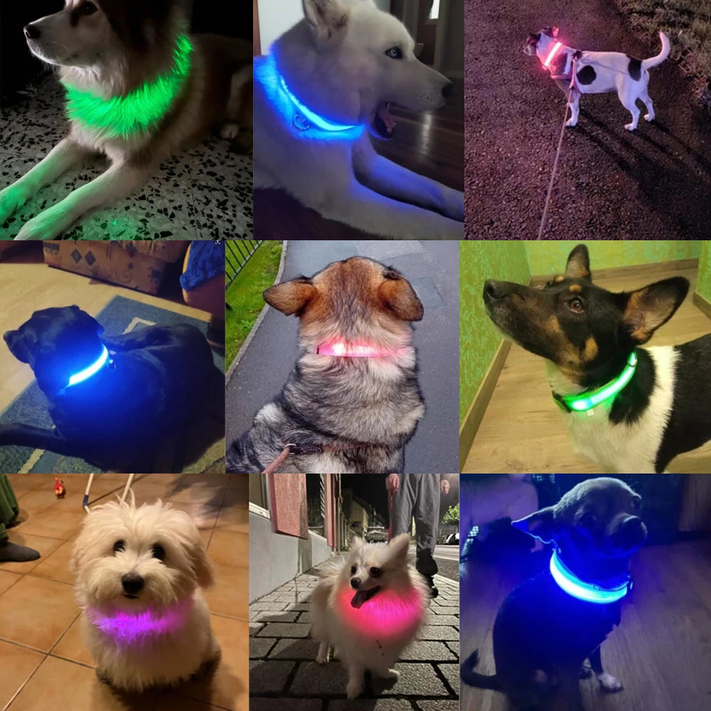 Dog Collar Nylon LED Night Safety Flashing Glow in the Dark Pet Dog Leash Pet Dogs Luminous Fluorescent Collar Dog Accessories