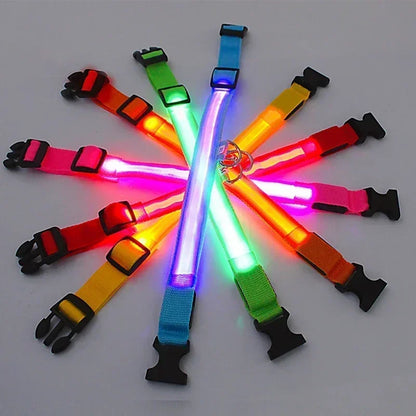 Dog Collar Nylon LED Night Safety Flashing Glow in the Dark Pet Dog Leash Pet Dogs Luminous Fluorescent Collar Dog Accessories